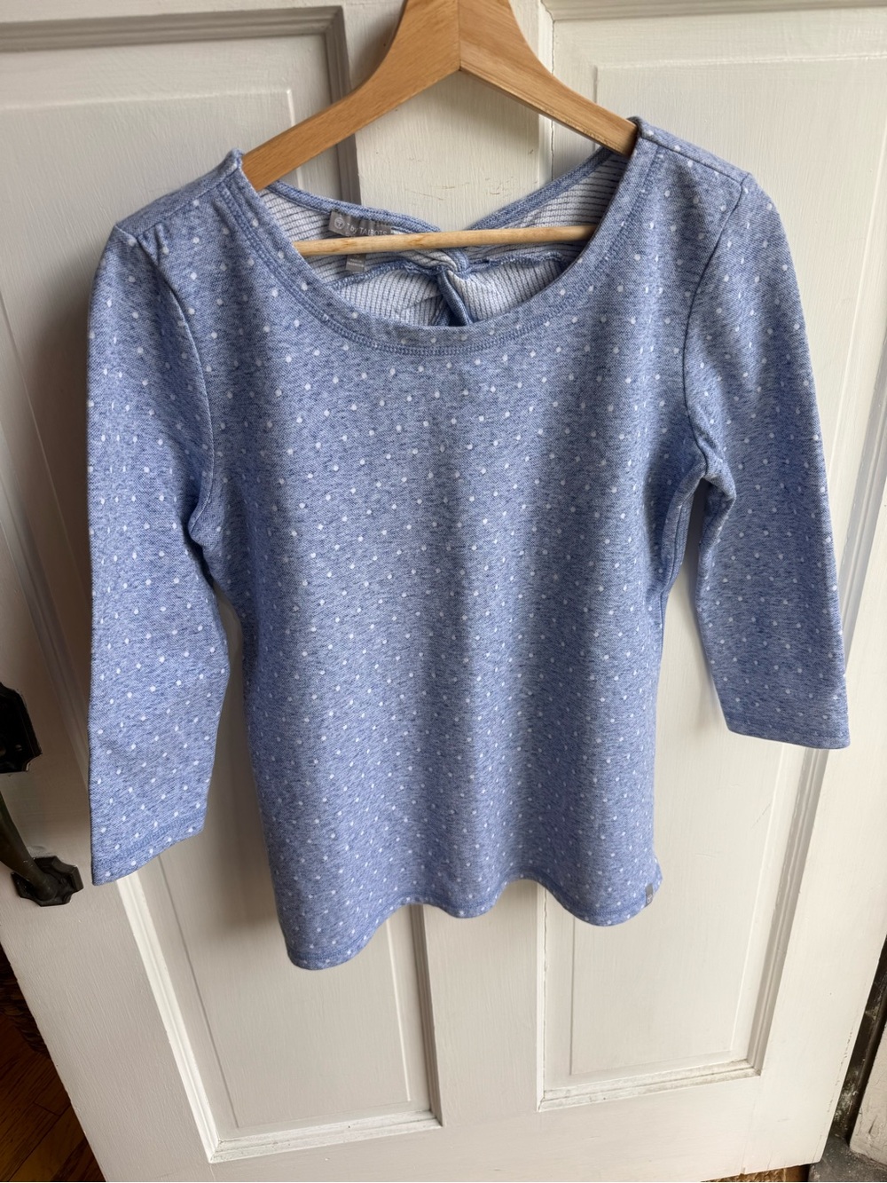 Talbots Light Blue Dot-Print Scoop Neck Long Sleeve Top